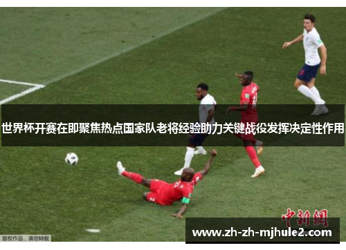 世界杯开赛在即聚焦热点国家队老将经验助力关键战役发挥决定性作用