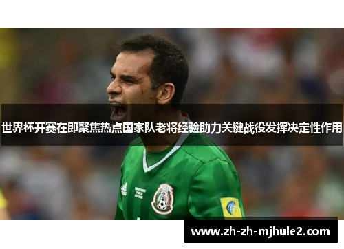 世界杯开赛在即聚焦热点国家队老将经验助力关键战役发挥决定性作用